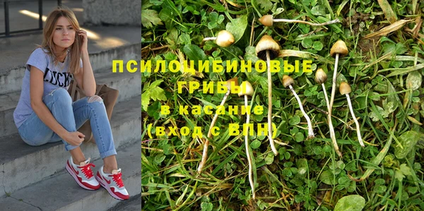синтетический гашиш Белокуриха