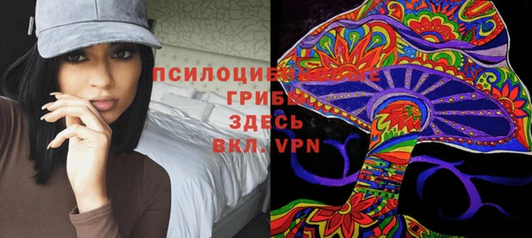 прущие крисы Белоозёрский