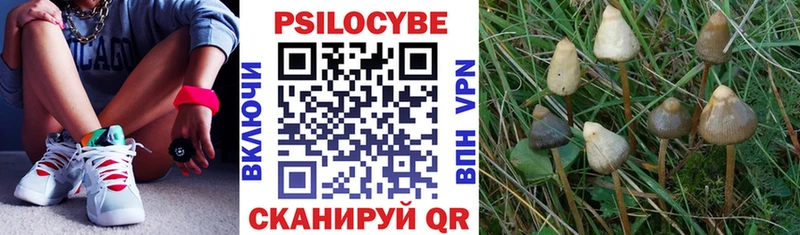Псилоцибиновые грибы мицелий  магазин продажи наркотиков  Ужур 