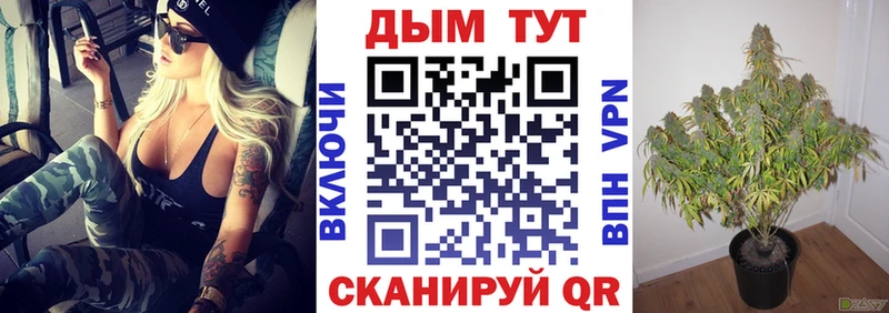 Конопля OG Kush  Ужур 